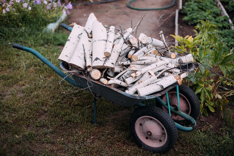Pruning & Propagation