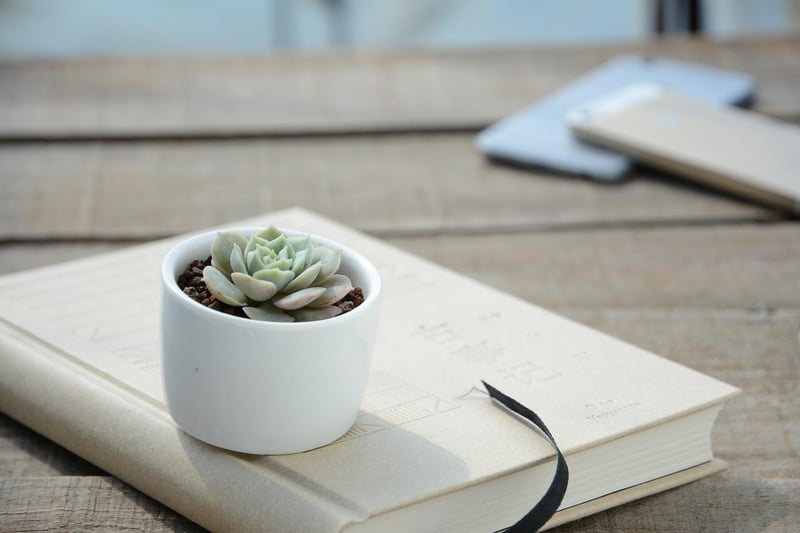 potted plants